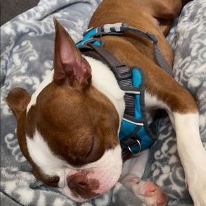 Meet your Posher, Danica